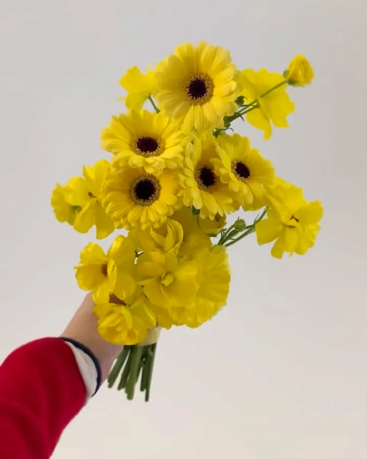 노오란 부케